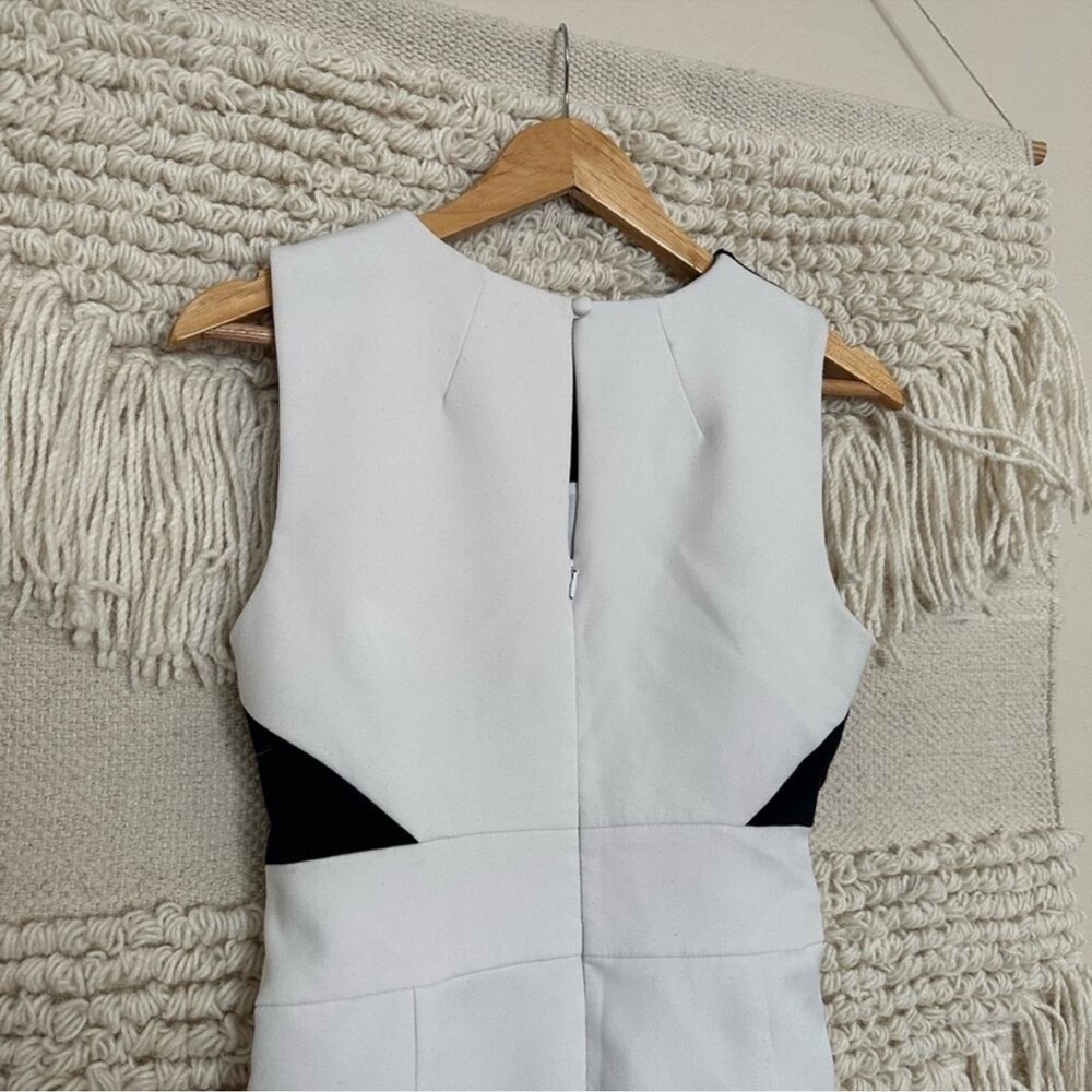 Milly Colorblock Dress - Picture 8 of 8